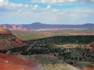 GSE5 is a photograph by T.M. Schultze taken 2006 at Grand Staircase-Escalante National Monument, Utah