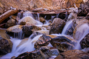 SB4 is a photograph by T.M. Schultze taken 2007 at Forest Falls, California
