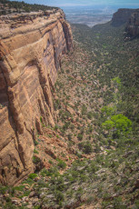 CNM8 is a photograph by T.M. Schultze taken 2008 at Colorado National Monument, Colorado
