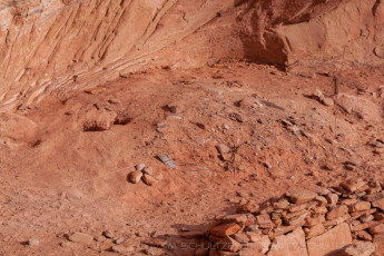 CNP18 is a photograph by T.M. Schultze taken 2010 at Canyonlands National Park, Utah