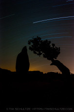 JT27 is a photograph by T.M. Schultze taken 2011 at Joshua Tree National Park, California