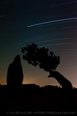 Path Forward is a photograph by T.M. Schultze taken at Joshua Tree National Park, California