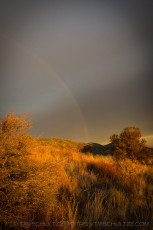 Chaparral Rainbow is a photograph by T.M. Schultze taken at Laguna Mountains, California