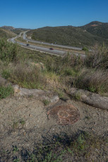 OH8086 is a photograph by T.M. Schultze taken 2013 at Descanso, California