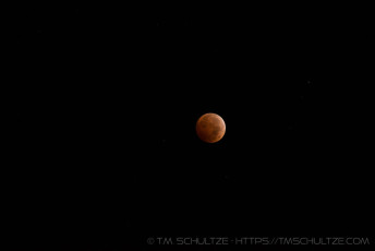 is a photograph by T.M. Schultze taken at ,