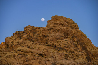 NV305 is a photograph by T.M. Schultze taken 2014 at Muddy Mountains Wilderness, Nevada
