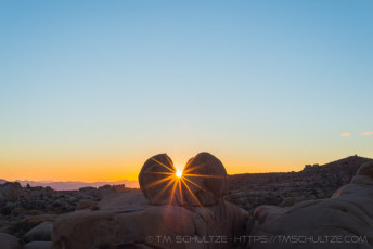 Split Heart is a photograph by T.M. Schultze taken at Joshua Tree National Park, California