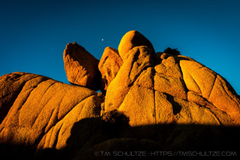 is a photograph by T.M. Schultze taken at Joshua Tree National Park, California