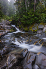 Sulphur Creek Crossing is a photograph by T.M. Schultze taken at Mt. Rainier National Park, Washington