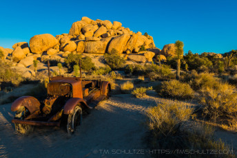 is a photograph by T.M. Schultze taken at Joshua Tree National Park, California