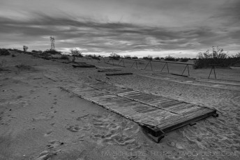 is a photograph by T.M. Schultze taken at Imperial Sand Dunes Recreation Area, California