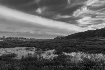Penasquitos Creek Marsh is a photograph by T.M. Schultze taken at Torrey Pines State Natural Reserve, California