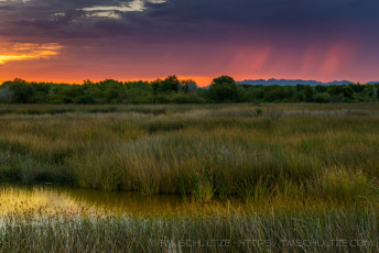 Hopeful Morning is a photograph by T.M. Schultze taken at ,