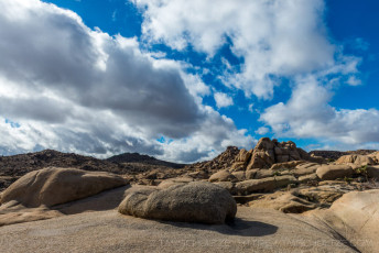 JT71 is a photograph by T.M. Schultze taken at Joshua Tree National Park, California