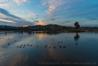 is a photograph by T.M. Schultze taken at ,