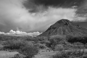 RM18 is a photograph by T.M. Schultze taken at ,