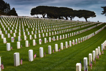 Sad Beauty is a photograph by T.M. Schultze taken at San Diego, California