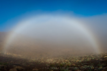 Fog Bow is a photograph by T.M. Schultze taken at Joshua Tree National Park, California