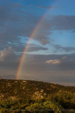 Rainbow Above Lagunas is a photograph by T.M. Schultze taken at Cleveland National Forest, California