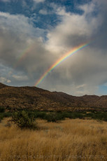 Refracted is a photograph by T.M. Schultze taken at Anza-Borrego Desert State Park, California