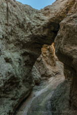is a photograph by T.M. Schultze taken at Anza-Borrego Desert State Park, California