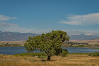 EC18 is a photograph by T.M. Schultze taken 2017 at Cleveland National Forest, California