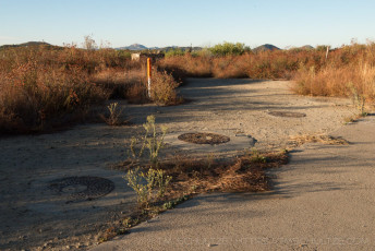 is a photograph by T.M. Schultze taken at Descanso, California