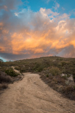 CNF23 is a photograph by T.M. Schultze taken 2017 at Cleveland National Forest, California