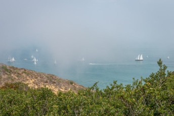 CNM8 is a photograph by T.M. Schultze taken 2017 at Cabrillo National Monument, California