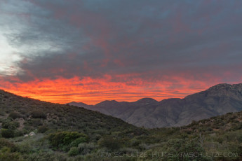 Chaparral Dreams is a photograph by T.M. Schultze taken at ,