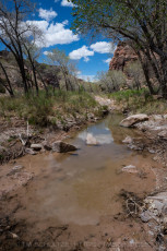 Buckhorn 2 is a photograph by T.M. Schultze taken at ,