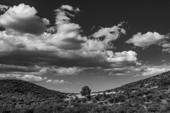 LM2 is a photograph by T.M. Schultze taken at Cleveland National Forest, California