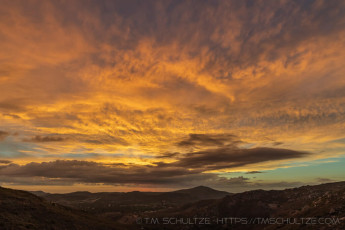 LM5 is a photograph by T.M. Schultze taken at Cleveland National Forest,