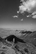 LM44 is a photograph by T.M. Schultze taken 2018 at Laguna Mountains, California