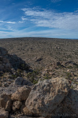 MNP18 is a photograph by T.M. Schultze taken 2018 at Mojave National Preserve, California