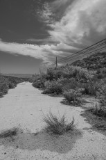 OH80122 is a photograph by T.M. Schultze taken 2018 at Bankhead Springs, California