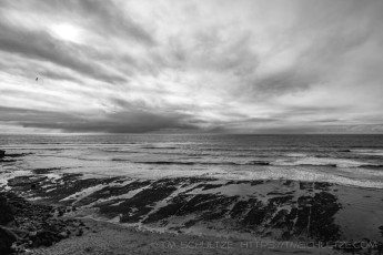 One Flight is a photograph by T.M. Schultze taken at ,