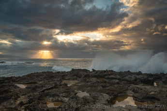 HW11 is a photograph by T.M. Schultze taken at Oahu, Hawaii