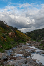 MTRP49 is a photograph by T.M. Schultze taken at ,