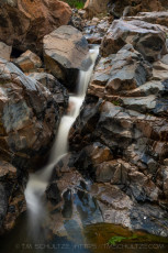 MTRP50 is a photograph by T.M. Schultze taken at ,