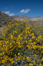 is a photograph by T.M. Schultze taken at ,
