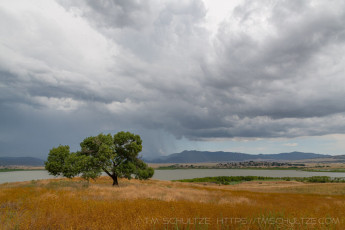 CNF52 is a photograph by T.M. Schultze taken at ,