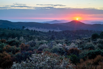 LM112 is a photograph by T.M. Schultze taken 2019 at Laguna Mountains, California