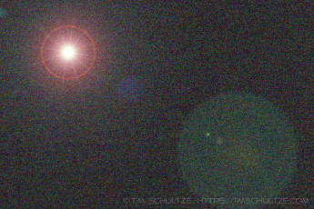 Contagion by T.M. Schultze is a photograph by T.M. Schultze taken 2020 at Santee, California