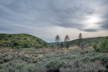 LM133 is a photograph by T.M. Schultze taken at Laguna Mountains, California