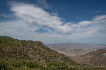LM145 is a photograph by T.M. Schultze taken 2020 at Laguna Mountains, California