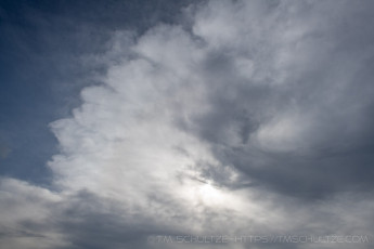 ME65 is a photograph by T.M. Schultze taken 2021 at Laguna Mountains, California