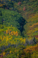 PC17 is a photograph by T.M. Schultze taken 2021 at Park City, Utah