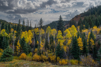 UT150 is a photograph by T.M. Schultze taken 2021 at Wallsburg, Utah