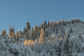 WS82 is a photograph by T.M. Schultze taken 2021 at Park City, Utah